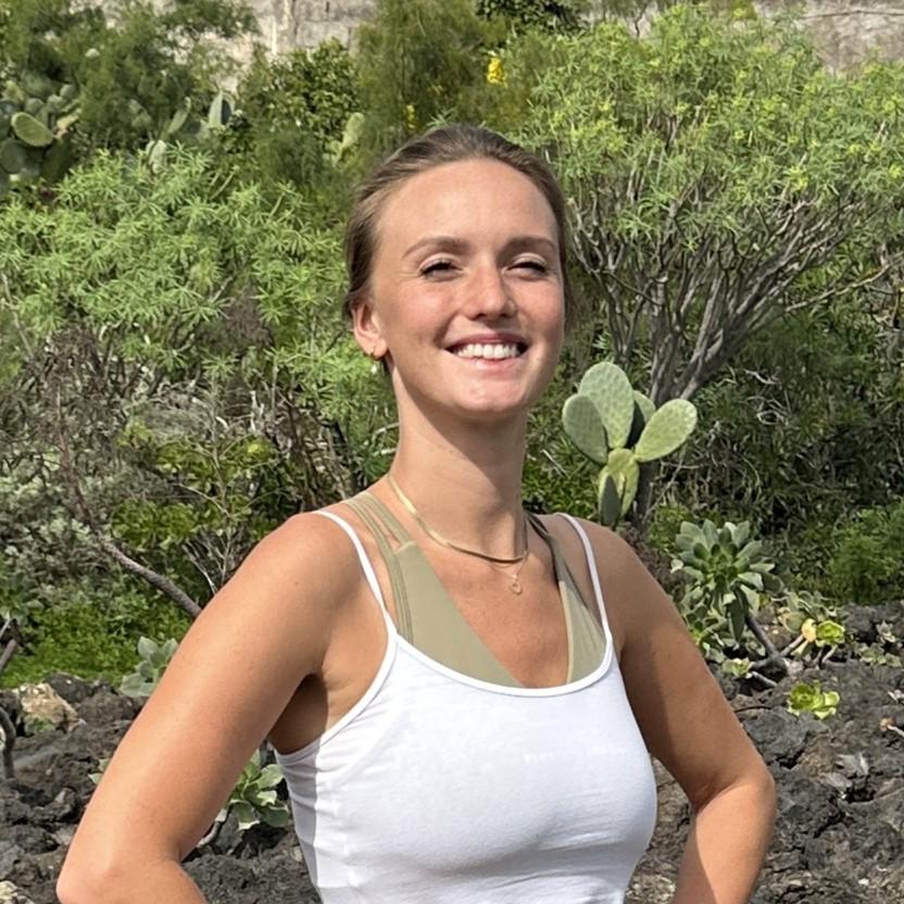 Gran Canaria: Volcano Sunset Tour and Local Food Tasting - Why this tour works for seeing Gran Canaria’s high country