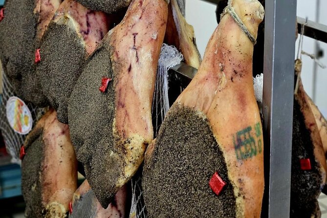 Guided Food Tour with Wine Tastings in Genoa - Bakery stops for focaccia and farinata