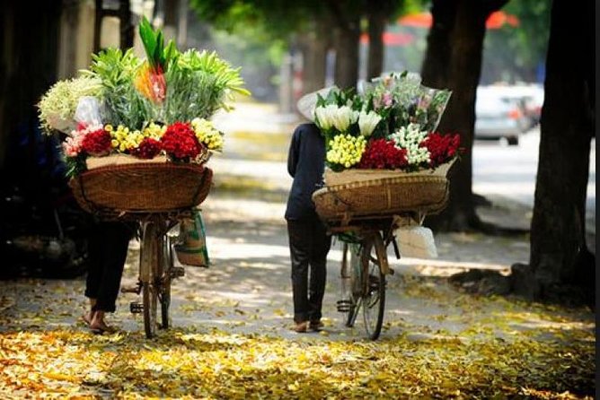 Hanoi street food tour (small group) - Starting in the Old Quarter