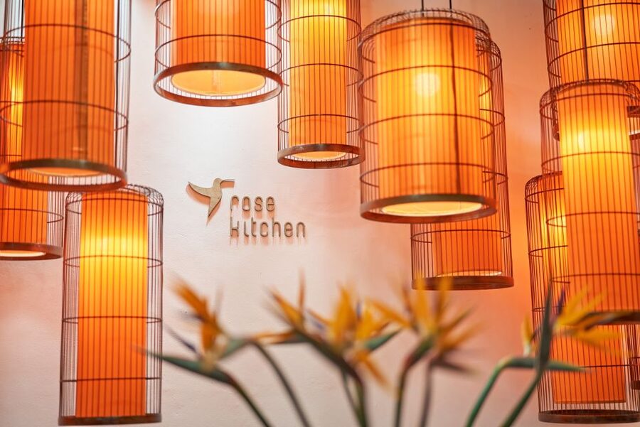 Hanoi: Vegan Vietnamese Cooking Class in a Local Villa - What the price includes at $57