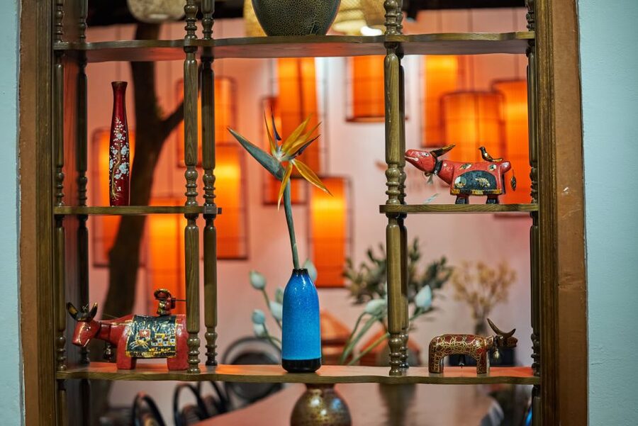 Hanoi: Vegan Vietnamese Cooking Class in a Local Villa - Who will enjoy this Hanoi cooking class