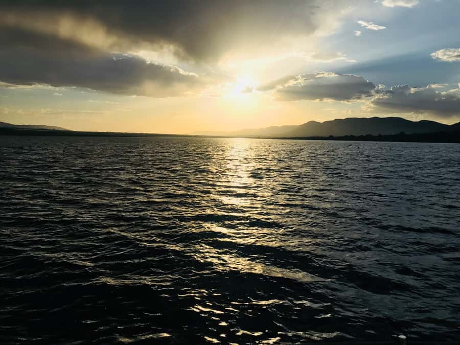 Hartbeespoort: 2-Hour Dam Cruise with South African Food - Choosing between the 10:00 AM, 1:00 PM, and 4:00 PM cruises