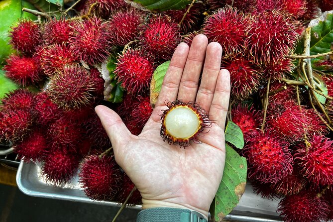 Hawaii Off The Beaten Path Food Tour - Starting beside the Nuuanu Stream