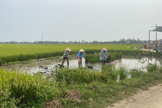 Hoi An Countryside Vespa Tour: Food, Culture & Daily Life - Meeting the mat weavers and craft families