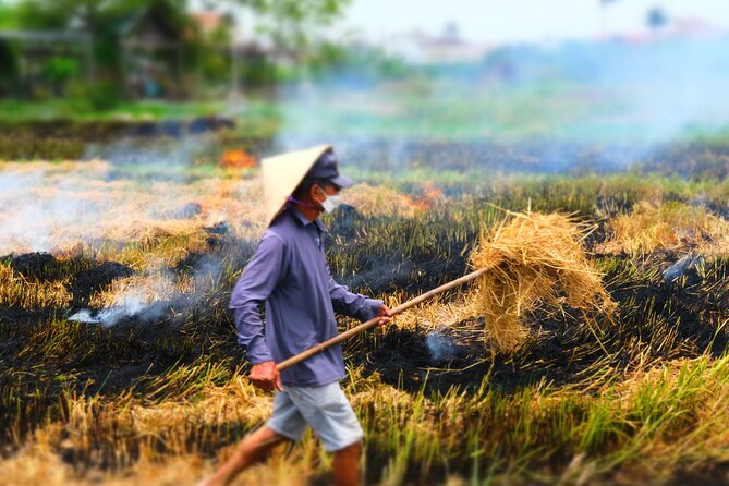 Hoi An Countryside Vespa Tour: Food, Culture & Daily Life - Lunch at a local Hoi An restaurant