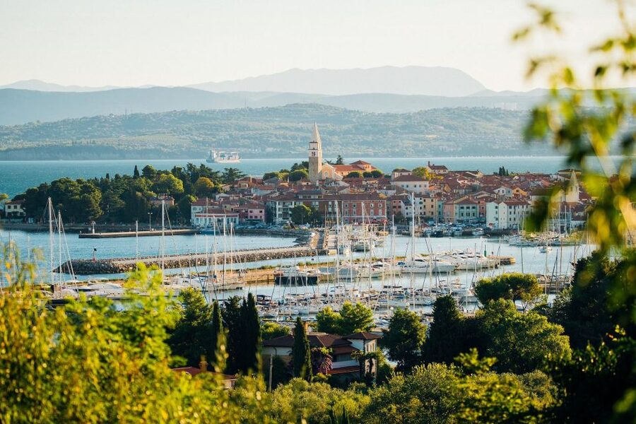 Hop & Taste Slovenian Riviera Hop-On Hop-Off & Local Bites - Marezige wine village and the inland view