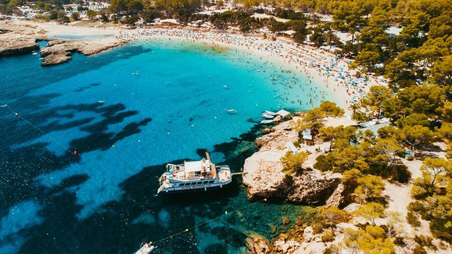 Ibiza: Beach Hopping Cruise w/ Paddleboard, Food, & Drinks - Cala Tarida and the open water