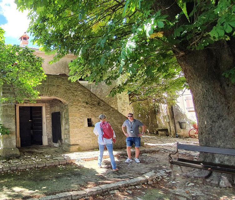 Istria: Guided Tour of Inner Istria with Food Tasting - What Siniša adds to the day