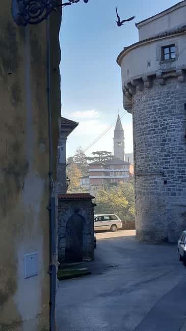 Istria: Guided Tour of Inner Istria with Food Tasting - Who gets the most from this tour