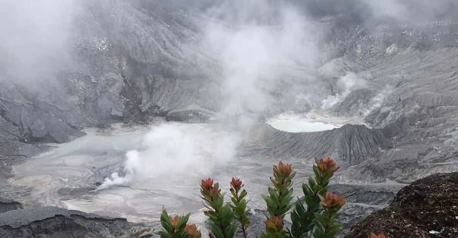 Jakarta: Volcano, Tea/Rice Fields, Hot Spring, Local Food - Tea plants and the mountain farming belt