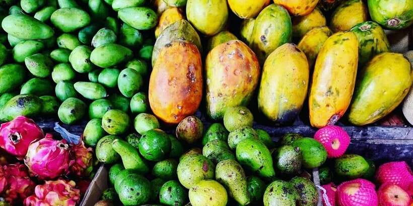 Jakarta: Volcano, Tea/Rice Fields, Hot Spring, Local Food - Fruit tasting at a local paradise