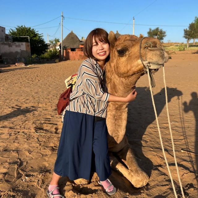 Jodhpur: Desert Camel and Jeep Safari with Traditional Food - What makes this desert day different