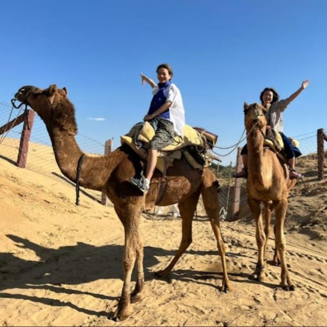 Jodhpur: Desert Camel and Jeep Safari with Traditional Food - Choosing between camel safari and camel plus jeep