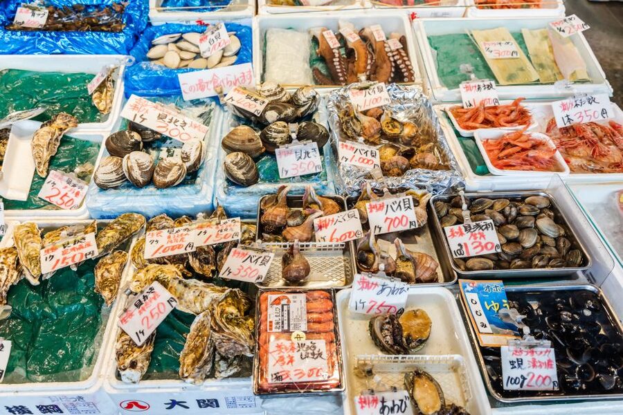 Kanazawa: Private Food Tasting Walking Tour - What $195 per person buys you