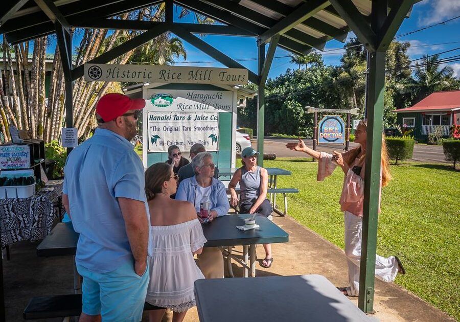 Kauai: Local Tastes Small Group Food Tour - What the tastings are really like