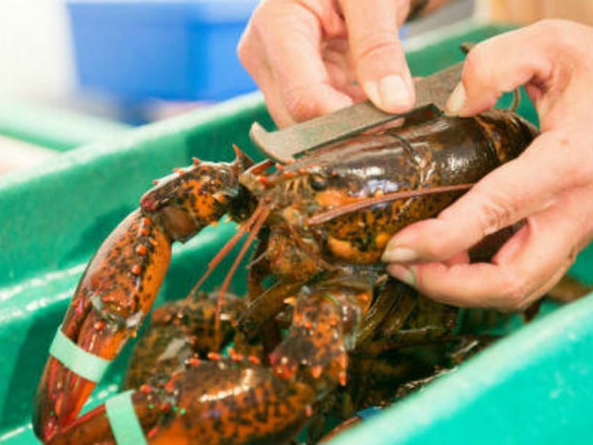 Kennebunkport, Maine: Lunchtime Culinary Walking Tour - What guides Marlene and the small group add