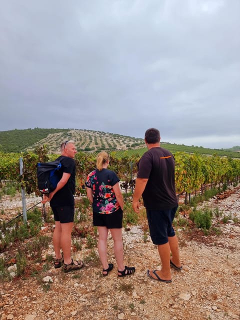 Korcula: Buggy Safari with Local Food and Wine Tasting - A private trophy room with an unusual story
