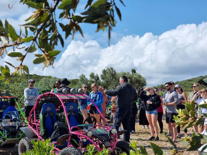 Korcula: Buggy Safari with Local Food and Wine Tasting - Who should book, and who should skip it
