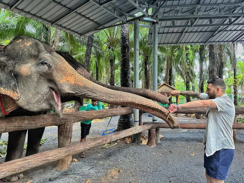 Krabi: Elephant Feeding Program with Food Preparation - What the shelter setting adds