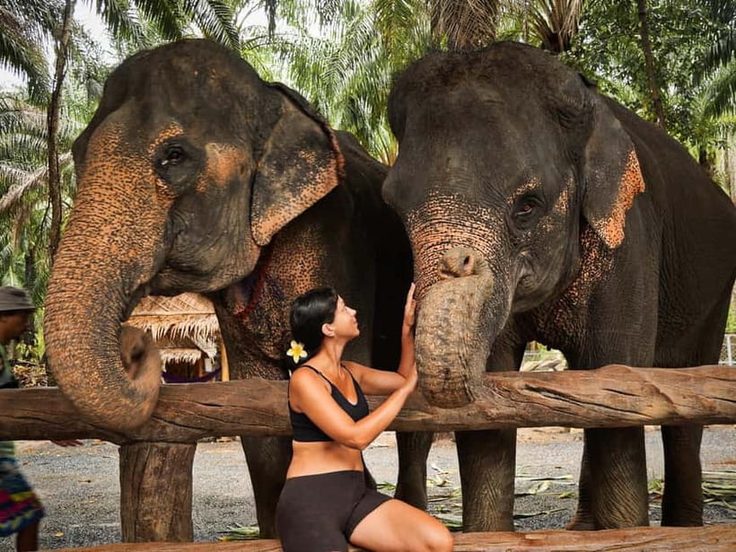 Krabi: Elephant Feeding Program with Food Preparation - What makes the experience feel ethical