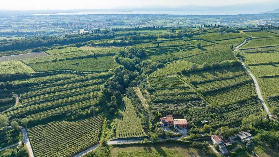 Lake Garda: Tour with 4 Olive Oil Tasting & Local Food - Bread, pâtés, olives, and natural infusions