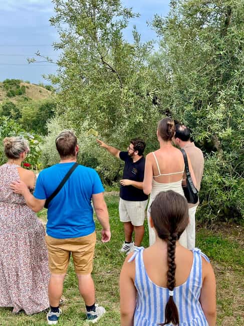 Lake Garda: Tour with 4 Olive Oil Tasting & Local Food - The opening tour: olive trees, vineyards, and family work