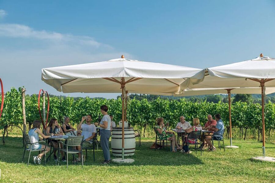 Lake Garda: Wine and Food Tastings in the Vineyards - Key points at a glance
