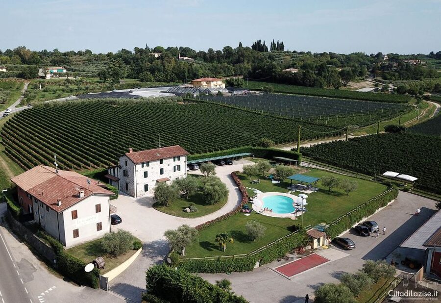 Lake Garda: Wine and Food Tastings in the Vineyards - The best way to plan your visit
