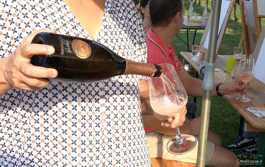 Lake Garda: Wine and Food Tastings in the Vineyards - A vineyard tasting, not a formal wine tour