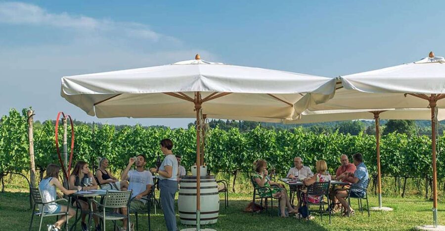 Lake Garda: Wine and Food Tastings in the Vineyards - Verona salami, cheese, bread, and olive oil