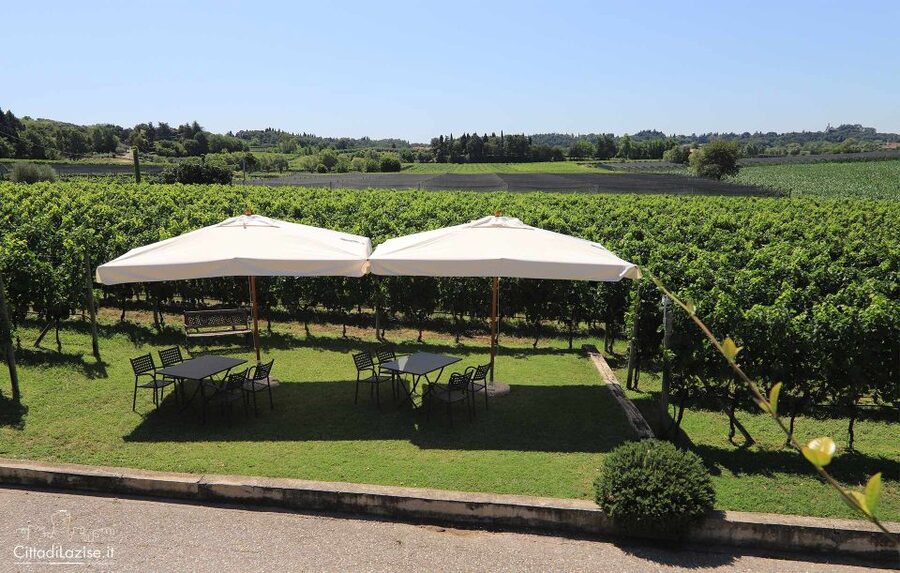 Lake Garda: Wine and Food Tastings in the Vineyards - Getting to Azienda Agricola Le Ginestre