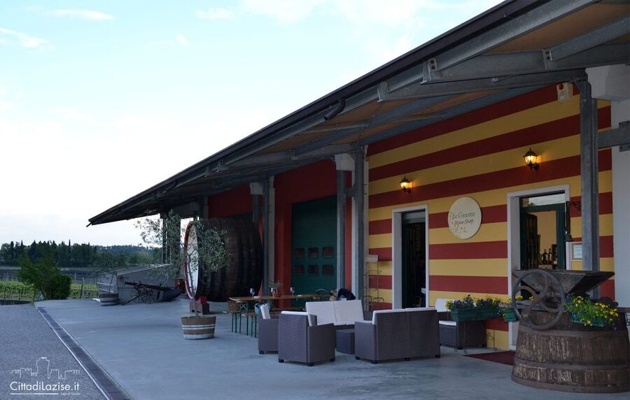 Lake Garda: Wine and Food Tastings in the Vineyards - Who will enjoy this most
