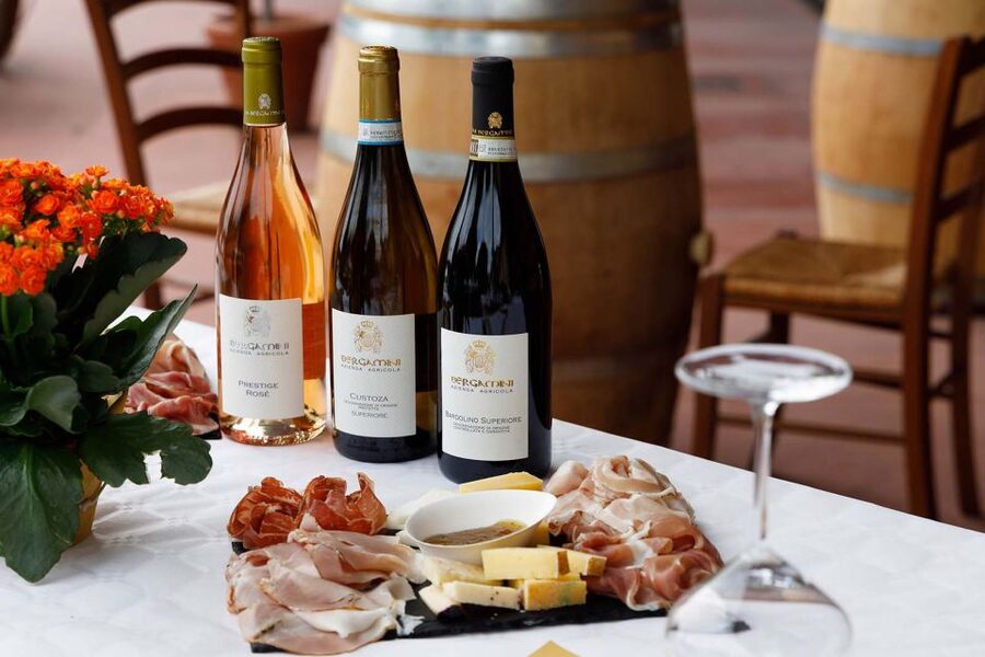 Lazise: Winery Tour with Garda Wines and Food Tasting - Key points to know before you book