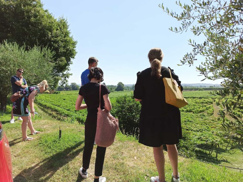 Lazise: Winery Tour with Garda Wines and Food Tasting - A practical introduction to Bergamini Vini