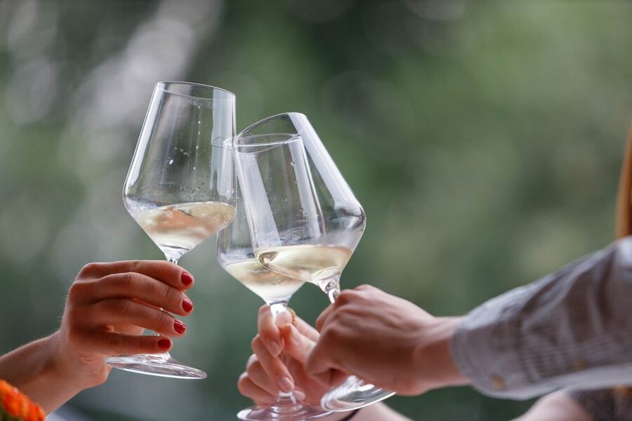 Lazise: Winery Tour with Garda Wines and Food Tasting - From grapes to fermentation and aging