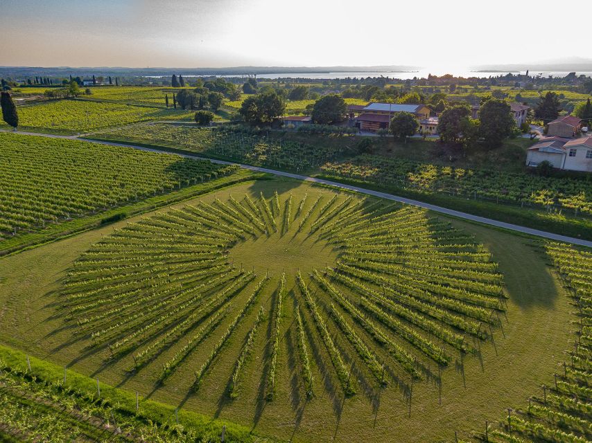 Lazise: Winery Tour with Garda Wines and Food Tasting - Bardolino, Chiaretto, Custoza, and the tasting flight
