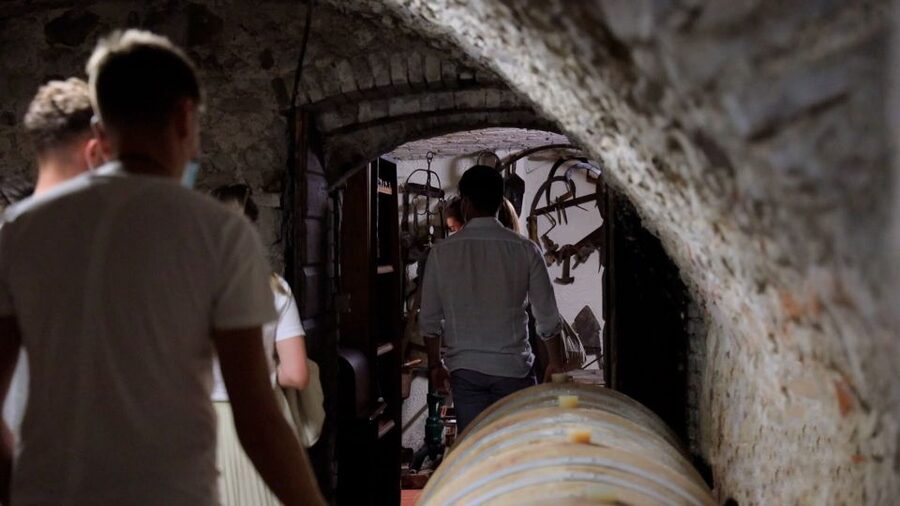 Lazise: Winery Tour with Garda Wines and Food Tasting - Guides, languages, and the feel of the visit