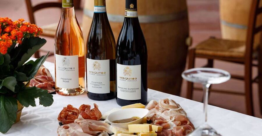 Lazise: Winery Tour with Garda Wines and Food Tasting - Walking the vineyards near Lake Garda