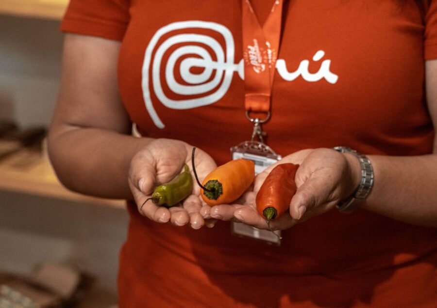 Lima: Ultimate Peruvian Food Tour - The Second Restaurant and More Peruvian Flavor