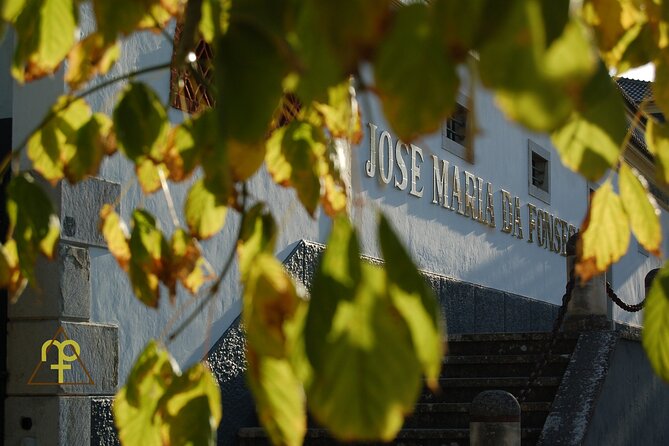 Lisbon Getaway: Private Arrábida Wine & Food Tour - Why this Setúbal day works so well from Lisbon