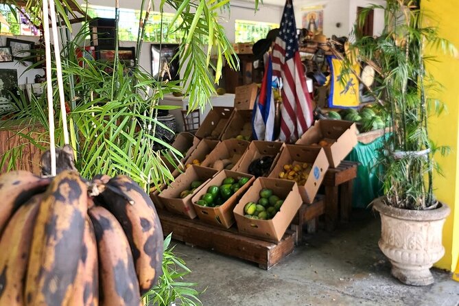 Little Havana: Authentic Food and Culture Walking Tour - Timing, comfort, and practical details