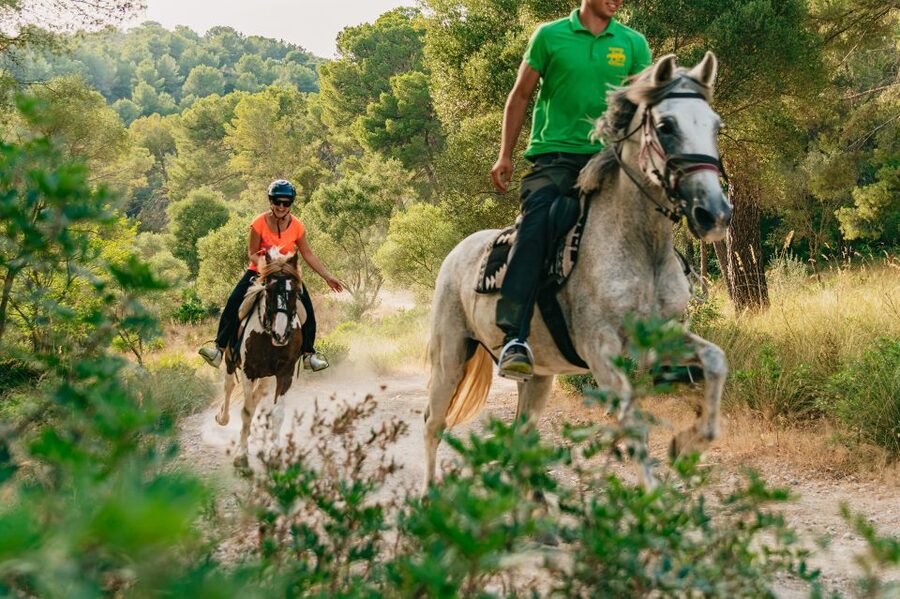 Mallorca: Horseback Riding Experience with Food Options - Key points to know before you book