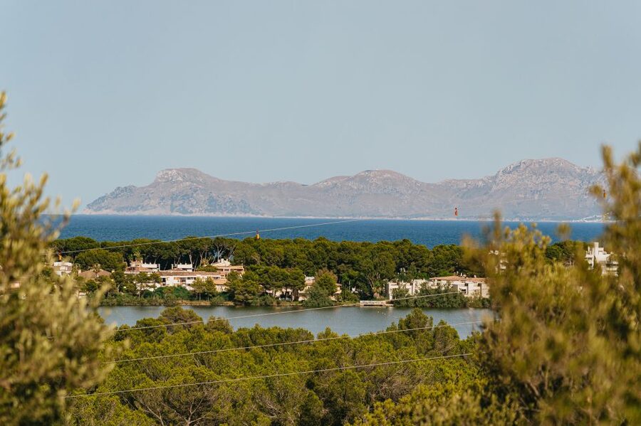 Mallorca: Horseback Riding Experience with Food Options - How the riding groups work