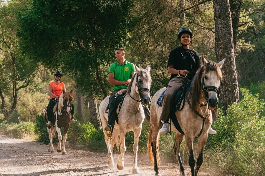 Mallorca: Horseback Riding Experience with Food Options - What the scenery is really worth