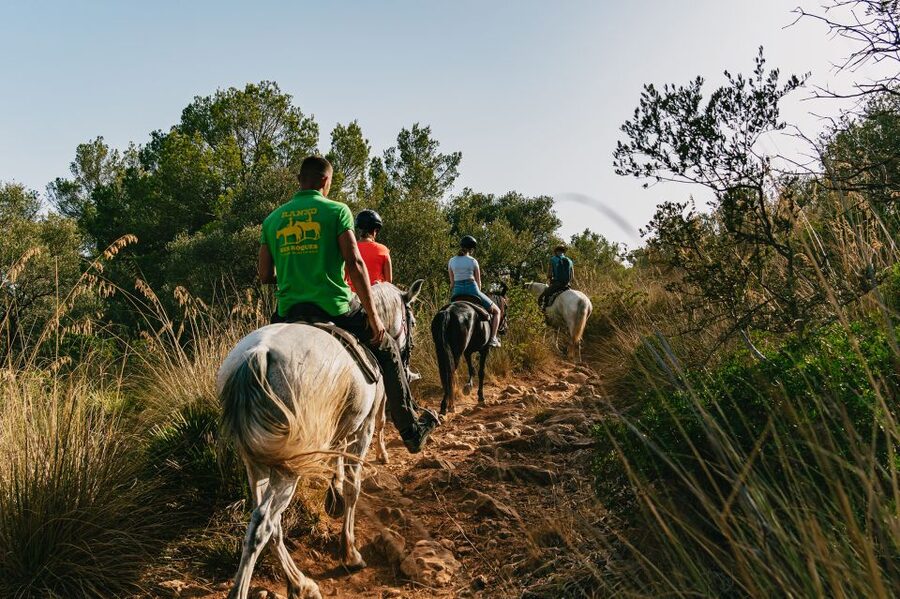 Mallorca: Horseback Riding Experience with Food Options - Brunch with Mallorcan flavors