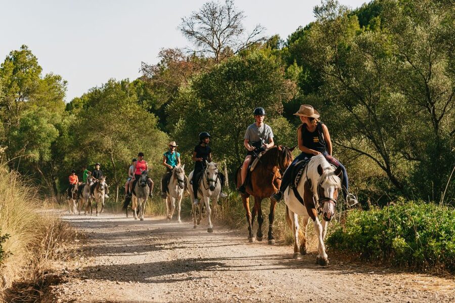 Mallorca: Horseback Riding Experience with Food Options - The handmade burger lunch option