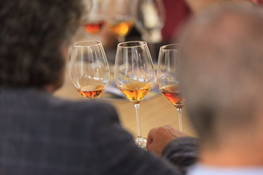 Marsala: Florio Winery Tour with Food-Paired Wine Tastings - Why the Coastal Setting Adds Value