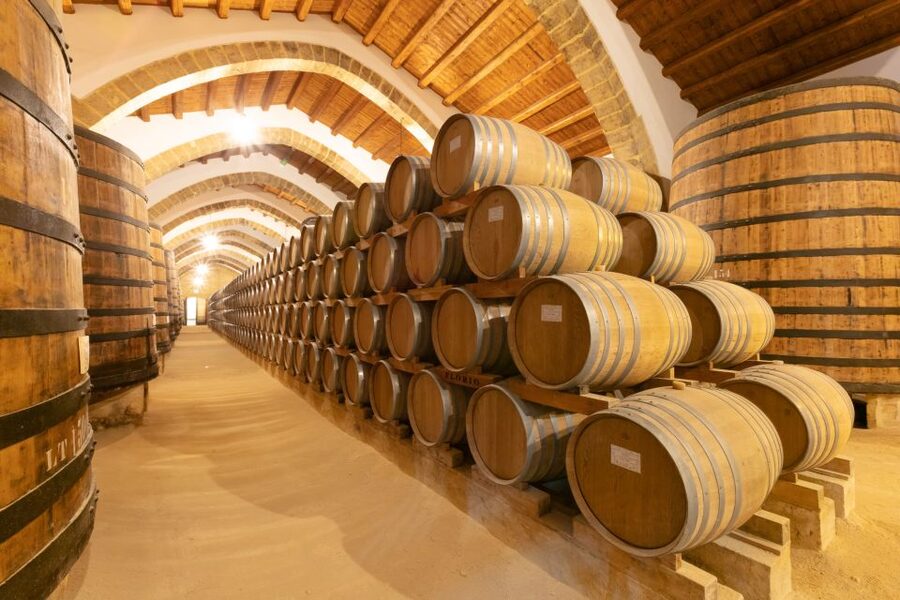Marsala: Florio Winery Tour with Food-Paired Wine Tastings - The Florio Family Story and Marsala’s Rise
