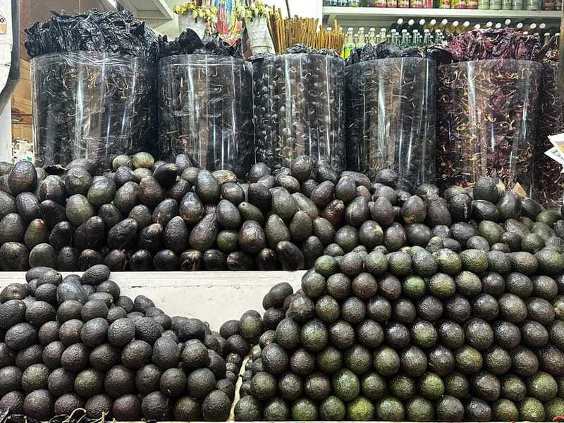 Mexico City: Old Town Food Tour of 7 Tastings & Secret Dish - Totopos, guacamole, and a taste of corn culture