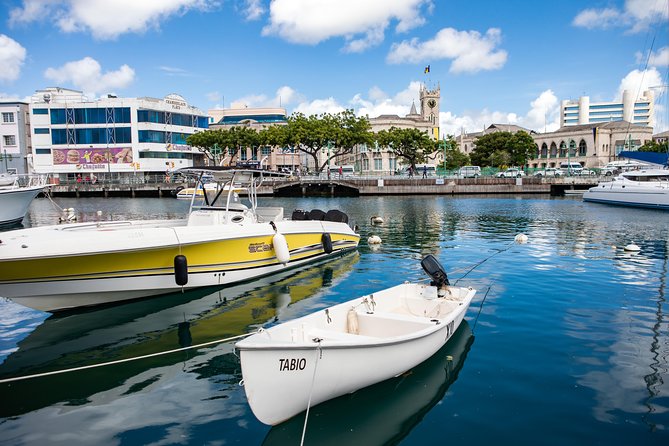 Original Bajan Walking Food Tour - What the food stops can include